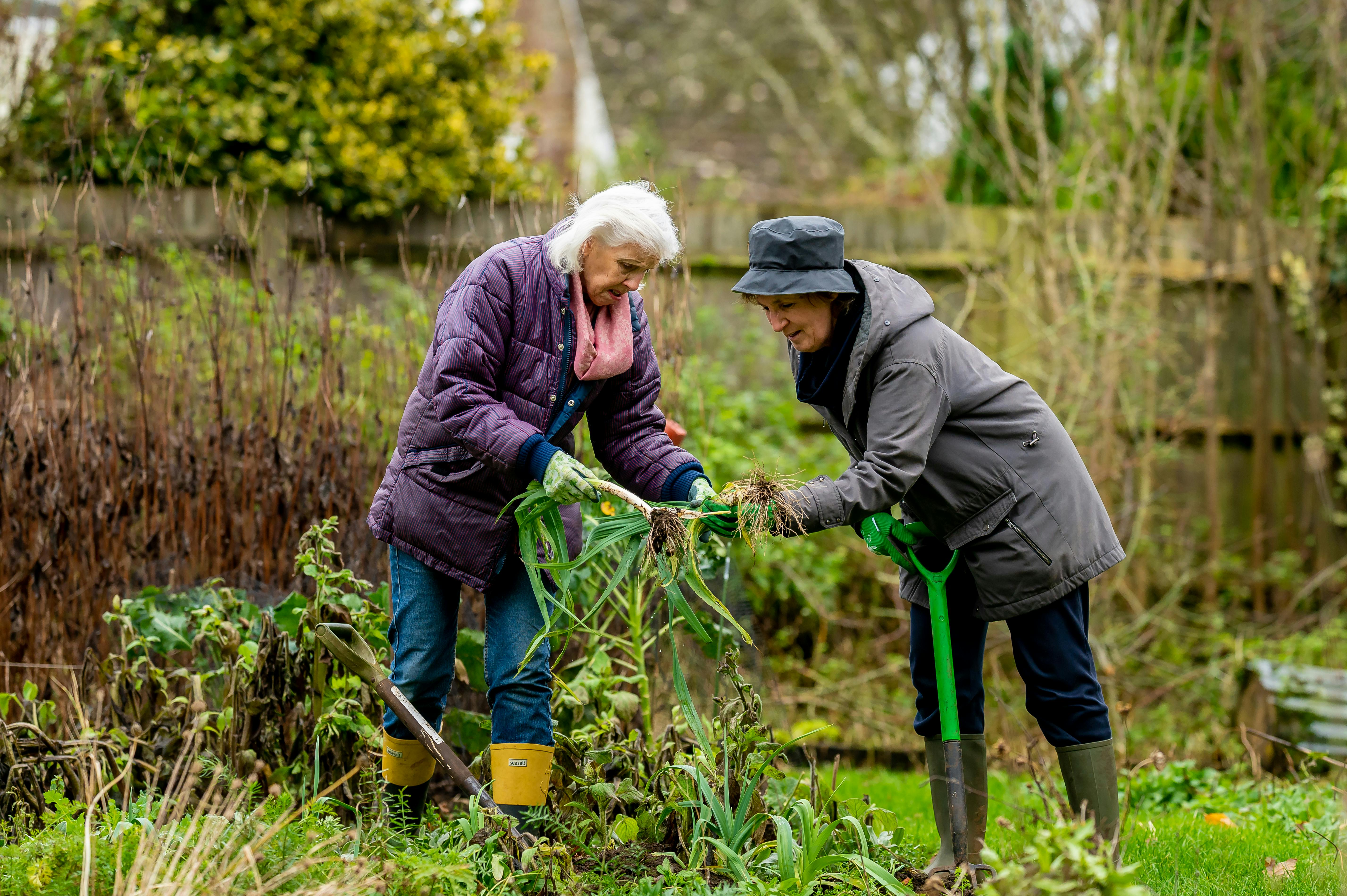 Elderly people gardening